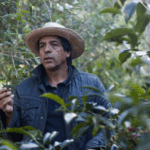 Don Eli coffee farm owner, Carlos Montero, examines a coffee plant on his farm.