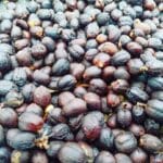 The best Colombian coffee going through a dry, natural process before being exported.